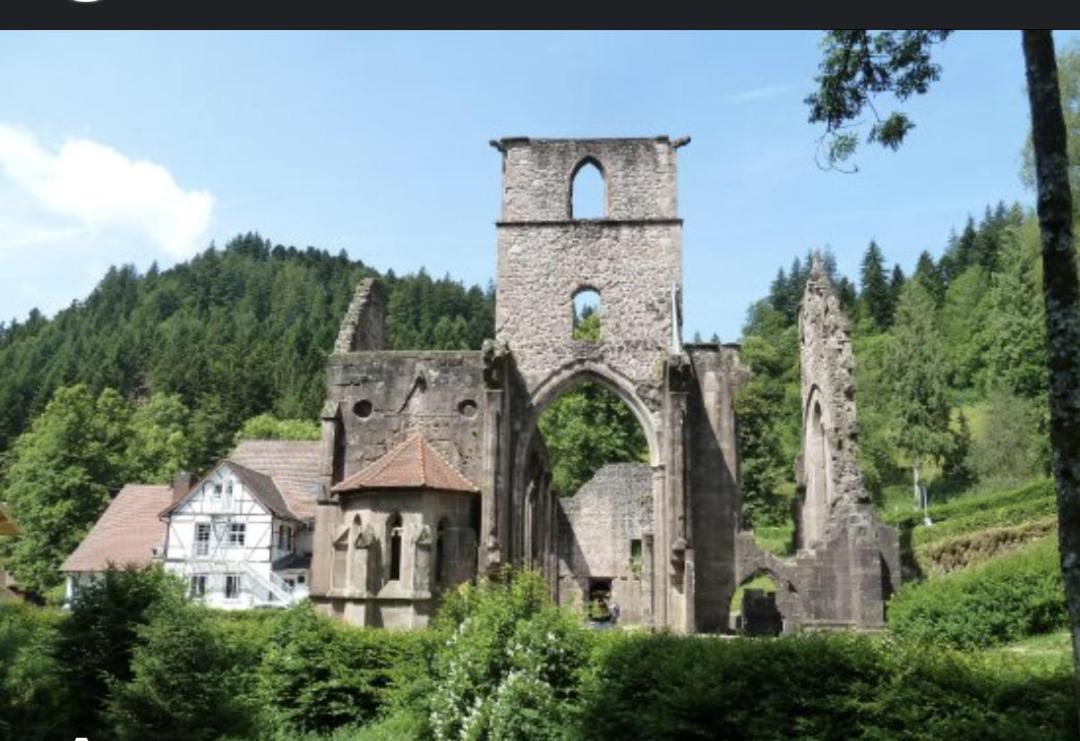 Badischer Neubau-Ruhe-Kunst-Natur Rheinau Exterior photo
